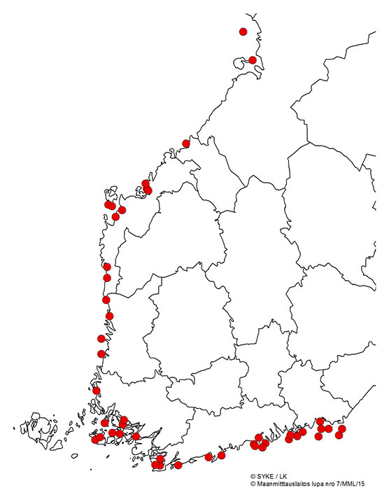 Merimetsokoloniat kesällä 2015